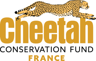 Cheetah Conservation Fund (CCF)