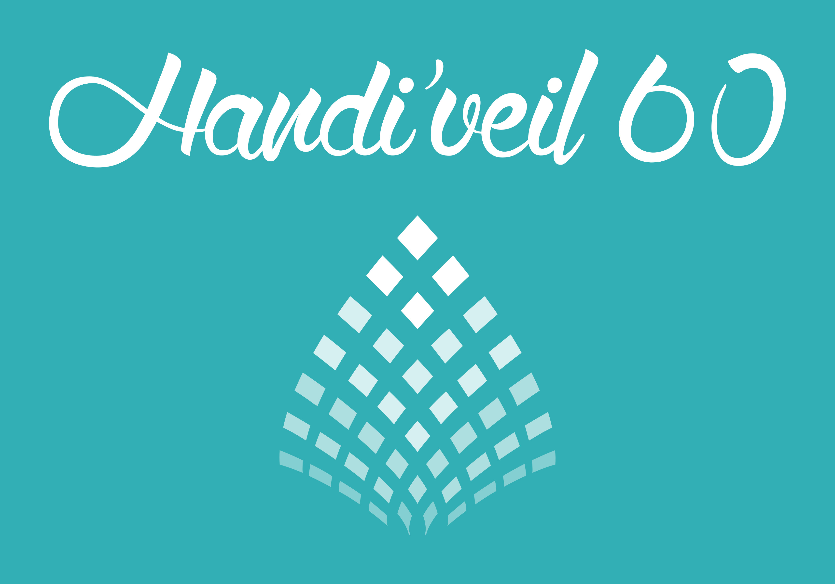 Handiveil